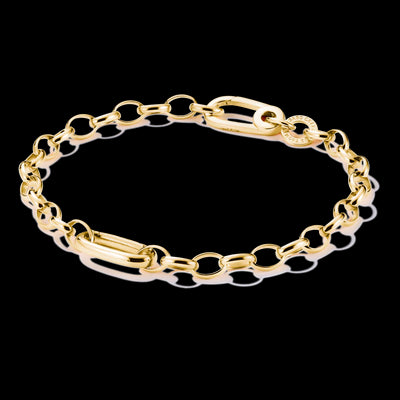 Charm Connect Cable Link Bracelet 19cm - Y/G Plated