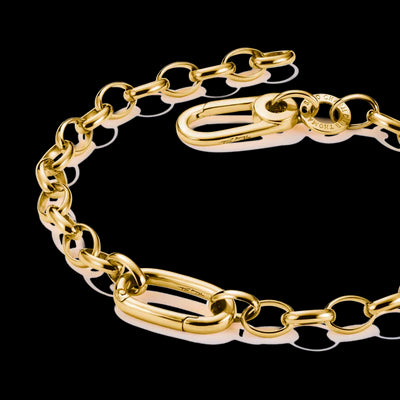 Charm Connect Cable Link Bracelet 19cm - Y/G Plated